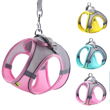 Walking Lead Leashes Harness